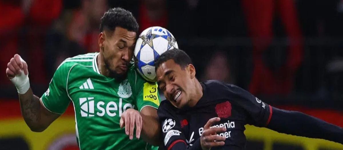 8XBET - trực tiếp bóng đá k+ hôm nay 8XBET - trực tiếp bóng đá k+ hôm nay